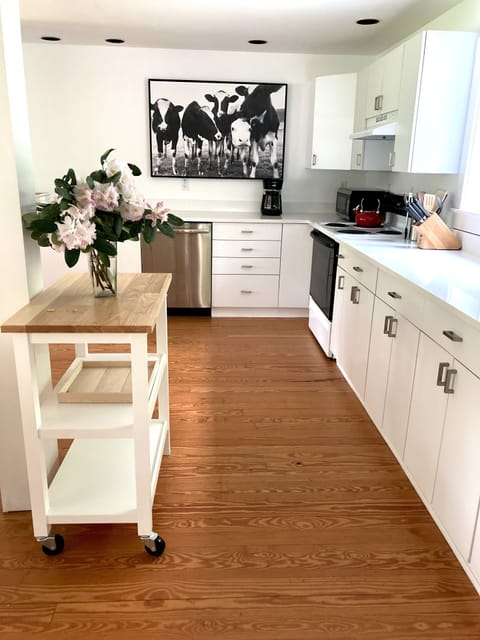 Large Kitchen