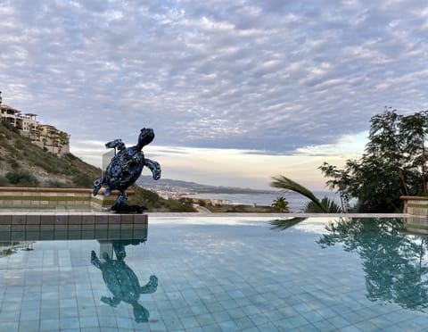Infinity Pool and spa