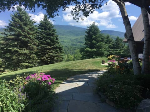 View from Front of House