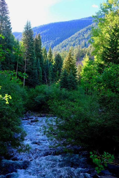 Looking west up river outside cabin