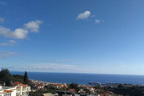 Beach/ocean view