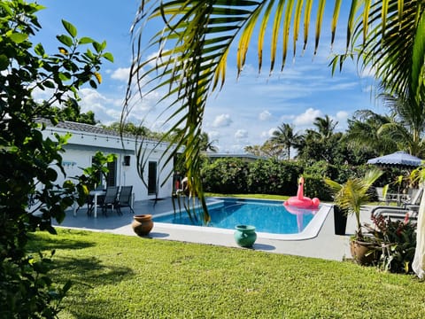 Beautiful tropical backyard & BIG saltwater pool. Plenty of chairs and loungers.