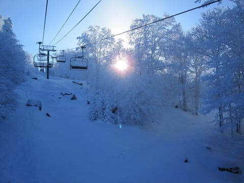 #1 Resort in the Southeast