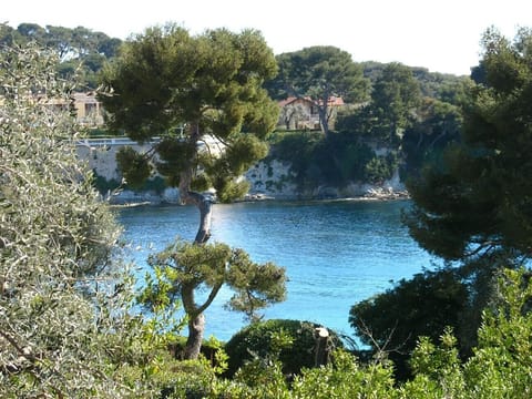 CAP FERRAT, 100 m FROM THE BEACH AND PORT, LUXURY AND COMFORTABLE VILLAGE HOUSE  House in Saint-Jean-Cap-Ferrat