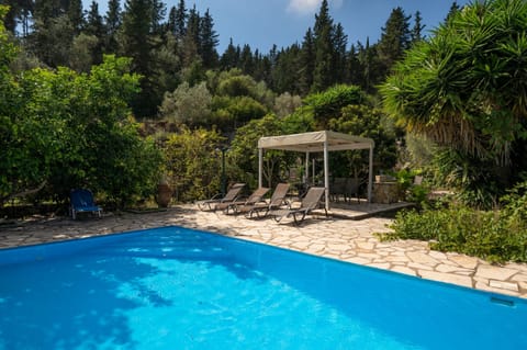 Pool and sun loungers