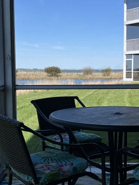 Screen porch with water views