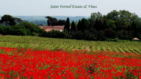Saint Ferreol Estate and poppies