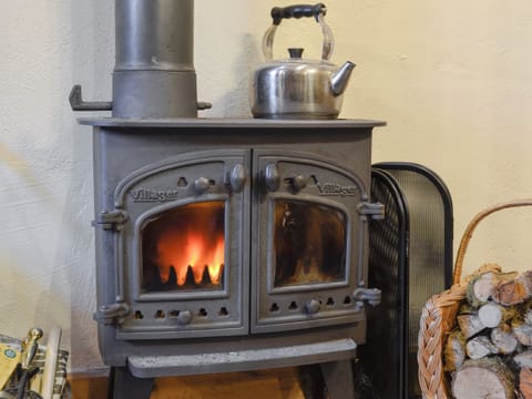 Warming wood burner | The Pig Sty - Cwm Clyd, Llandovery