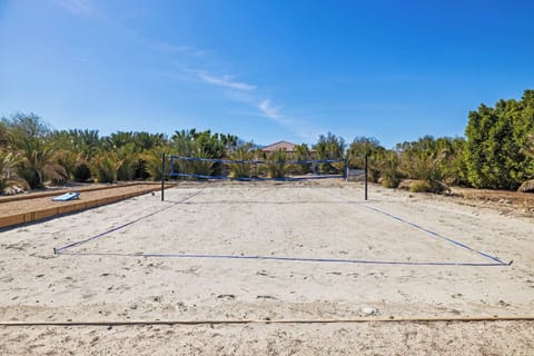 Spike, Dive, Repeat—Beach Volleyball at Jack Estate ☀️ Get your game face on and hit the sand for a friendly match or a full-on tournament! 