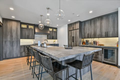 Plenty of Space to Prep a Delicious Meal in this Brand New Gourmet Kitchen