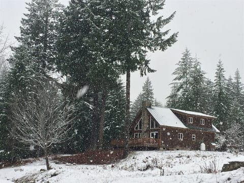 River Rock Mountain Cabin, WiFi, AC, BBQ