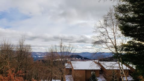 View from the Living Room