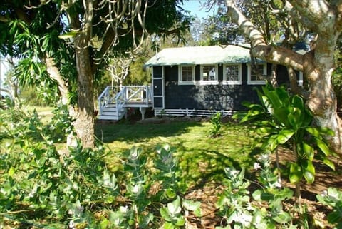 Side view of the cottage under the mango and Plumeria Trees