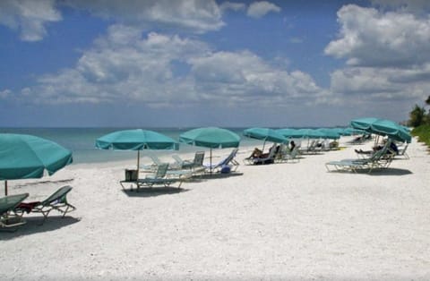 Private beach on the gulf where you can see dolphins, pelicans and more.