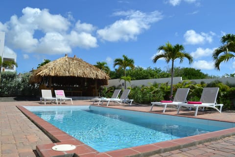 Swimming pool with palapa 