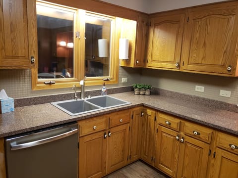 Kitchen sink and dishwasher