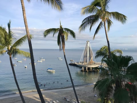 Yes, this is the view from the patio of La Palapa 501!