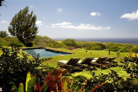 Your private black bottom pool with views to home and the ocean.