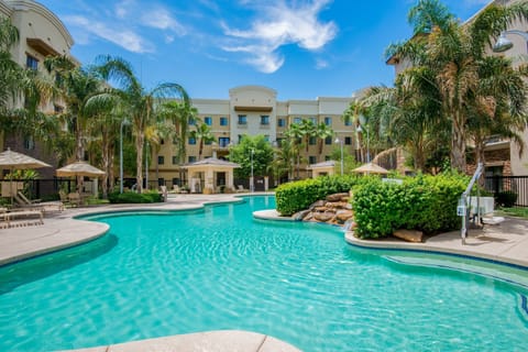 Outdoor pool surrounded by palm trees and lounge chairs.