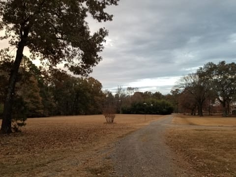 View from home back to the street
