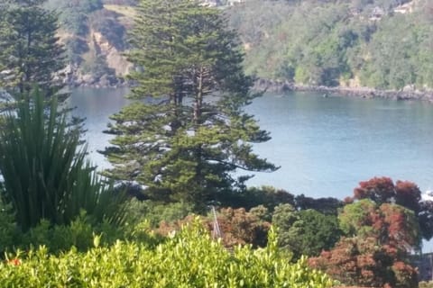 View from Deck