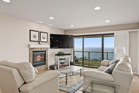 Ocean views from your living room in Solana Beach