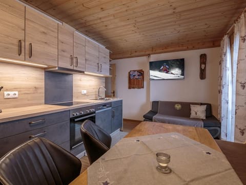 Apartment 3 - Talblick - Apartments Grünholz Farm Stay in Salzburgerland