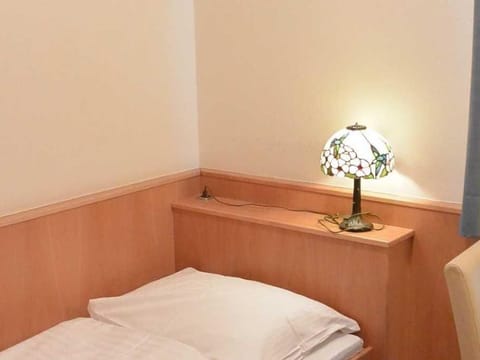 HOT DEAL single room non refundable rate - Adlerhof, Pension Bed and Breakfast in Salzburg