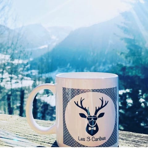 Exceptional chalet in Châtel! Chalet in Châtel