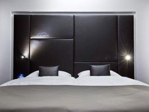 Double room deluxe panoramic view, breakfast, non-refundable - COOL MAMA Hotel Salzburg House in Salzburg