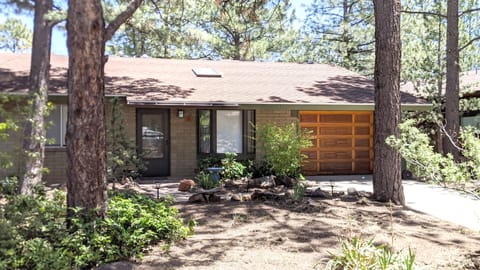 Mature landscaping with tall pine trees.