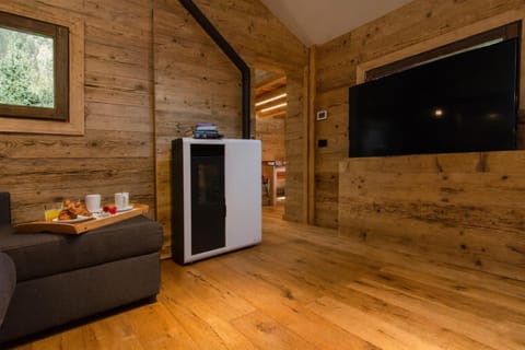 Wood burner and extra large HD TV