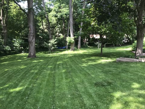 Private Wooded Backyard with plenty of lawn space