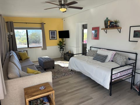 Living room with plenty of seating - 2 queen pull out sofas and daybed