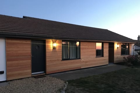 Night lights, to guide you back from the pub.