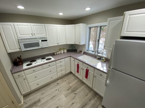 Lower Level Kitchen.
