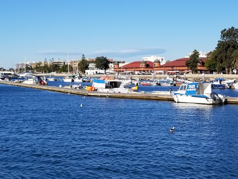 Village Marina Buildings from the Marina  and the markets