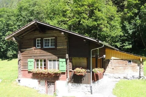 Exterior view in summer