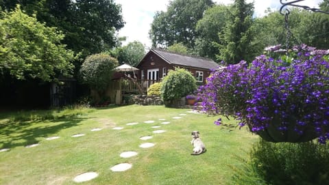 Woodside Lodge (with our dog sunbathing)
