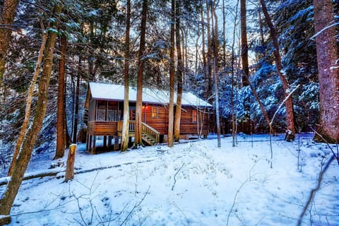 Cabin 1