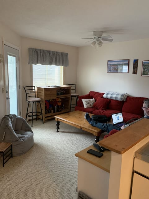 Living room with queen pull out bed.