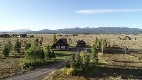 Imagine a cabin perched among the towering pine trees that give the area a secluded, forested feel.