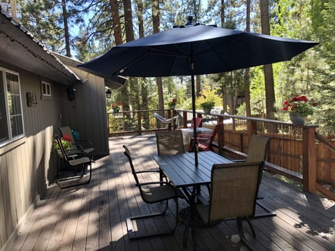 Large deck with outdoor furniture, hammock (not winter) and gas BBQ (year round)