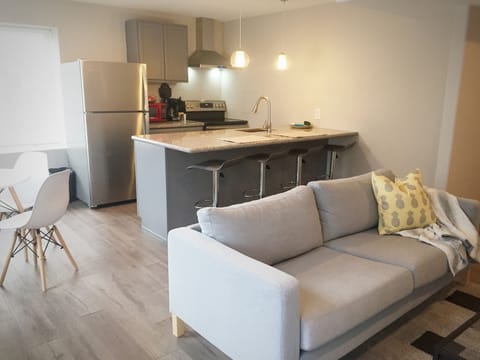 Living room / Kitchen /Dining