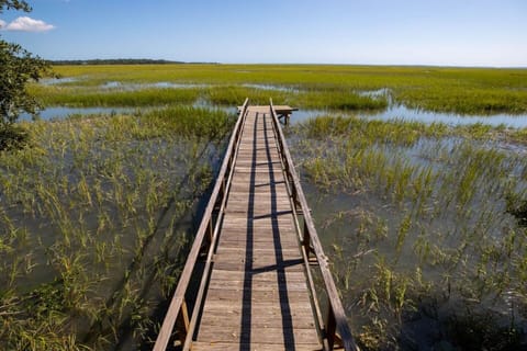 beautiful Port Royal sound