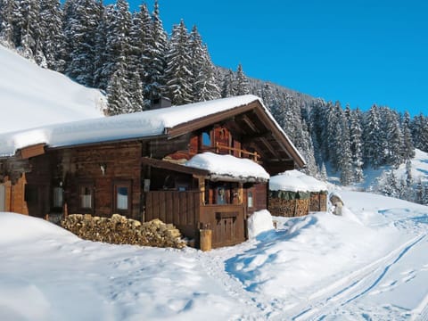 Snow, Winter, Property, Mountain, Home, Log Cabin, House, Freezing, Ski Resort, Mountain Range
