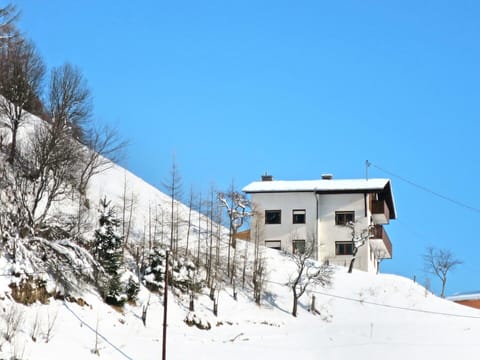 Sky, Building, Snow, Window, Slope, Plant, Mountain, Tree, House, Freezing