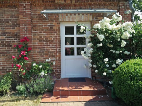 Flower, Plant, Property, Window, Building, Leaf, Door, Botany, House, Grass