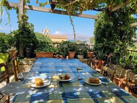 Very large vine covered terrace with many plants, creating a relaxing space