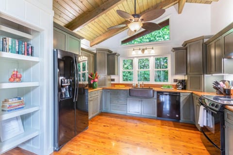 Open themed concept, spacious kitchen